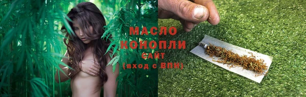 2c-b Бородино