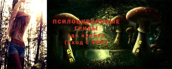 крисы Бугульма