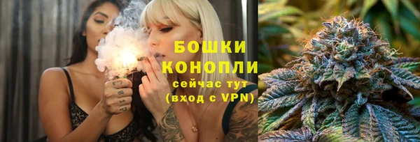 2c-b Бородино